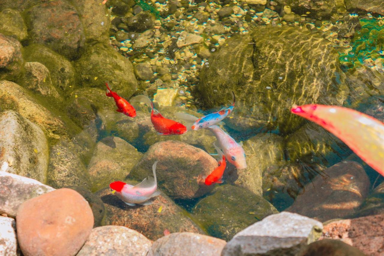Pousada Cacau Praia do Rosa Dış mekan fotoğraf